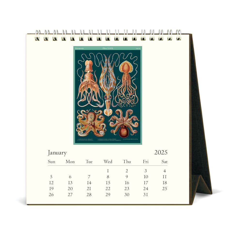 Sea Life 2025 Easel Desk Calendar