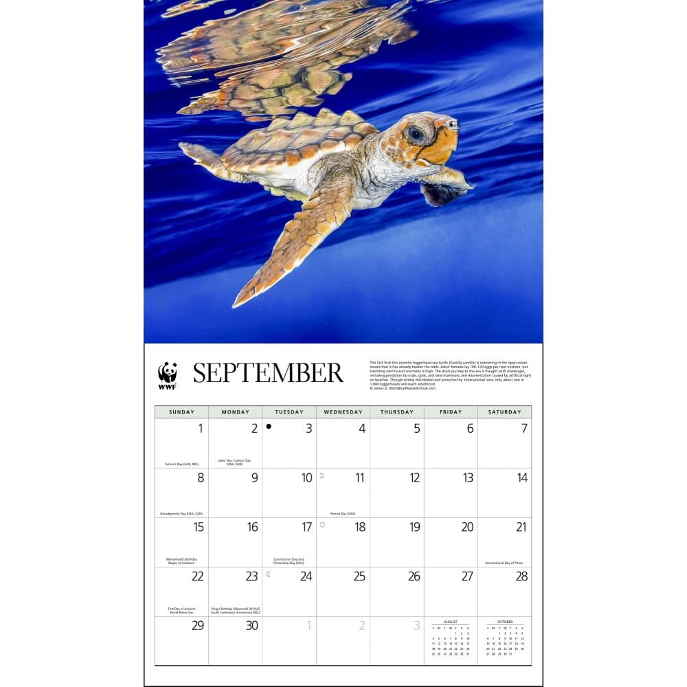 Baby Animals WWF 2024 Wall Calendar