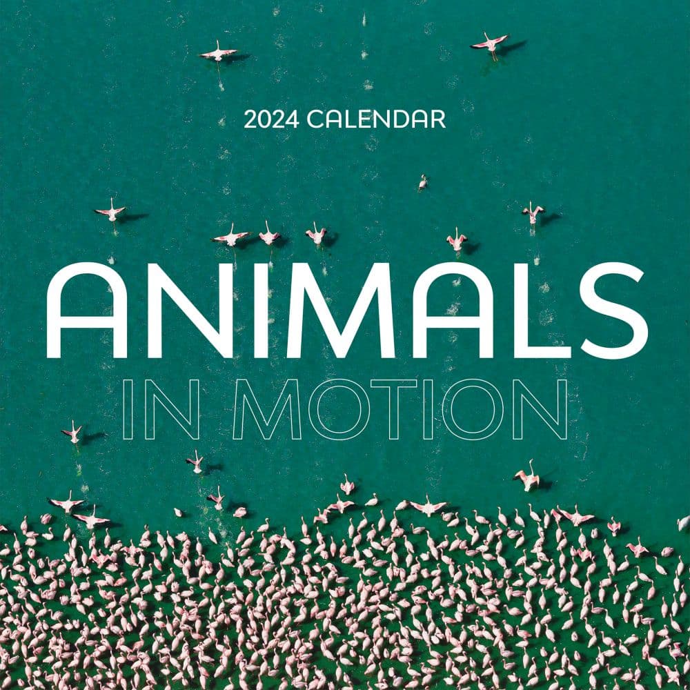 Animals In Motion 2024 Wall Calendar Calendars