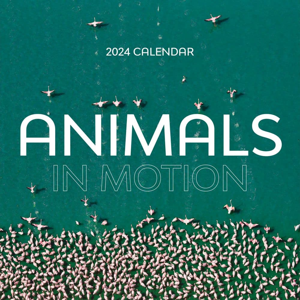 Animals In Motion 2024 Wall Calendar Main Image