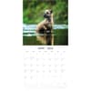 image Border Terriers 2025 Wall Calendar Alt2