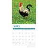 image Roosters 2025 Wall Calendar Second Alternate Image width="1000" height="1000"