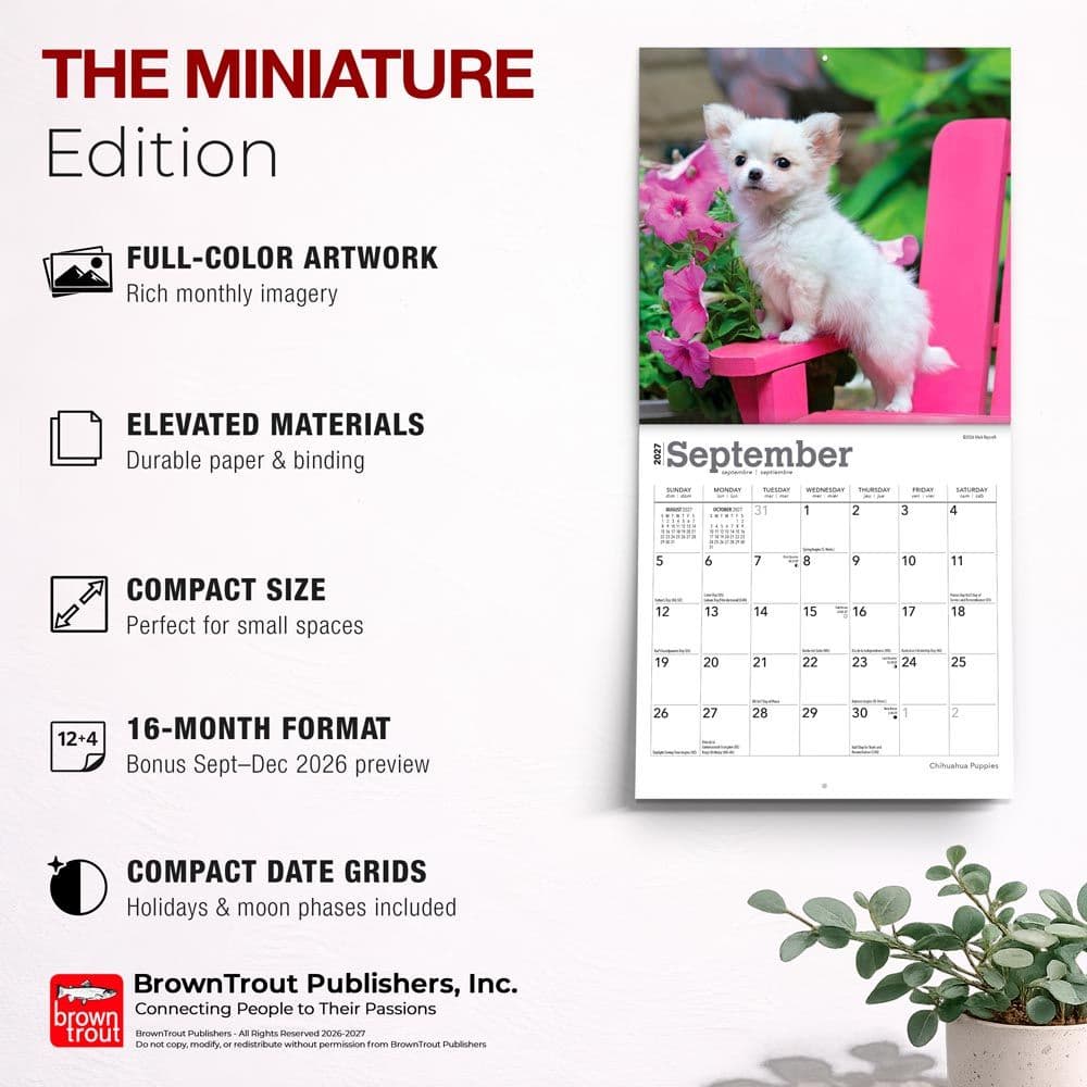 Chihuahua Puppies 2027 Mini Wall Calendar Fifth Alternate Image
