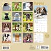 image Puppies 2025 Wall Calendar First Alternate Image width="1000" height="1000"