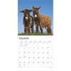 image Donkeys 2025 Wall Calendar Second Alternate Image