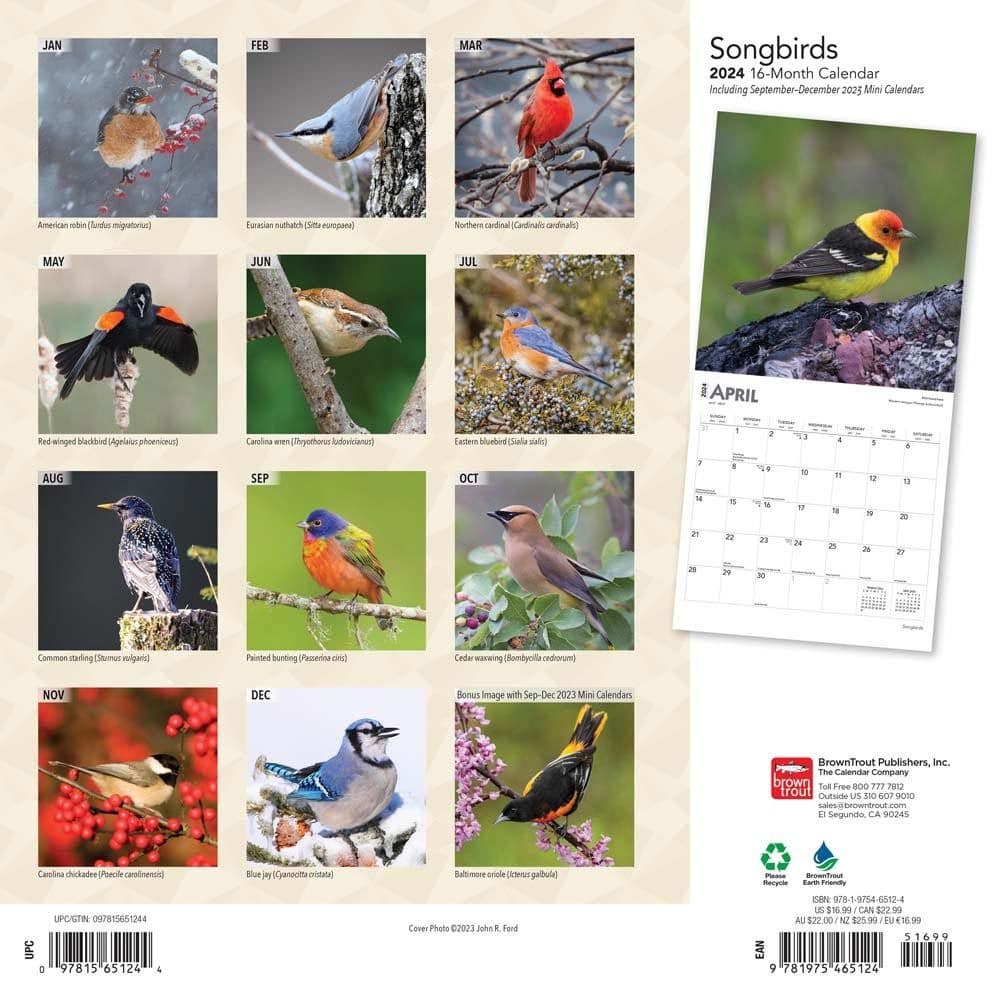 Songbirds 2024 Wall Calendar Alternate Image 1