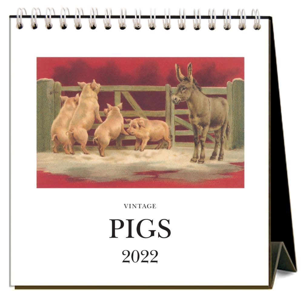 Pigs 2022 Desk Calendar