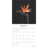 image In the Garden 2025 Wall Calendar