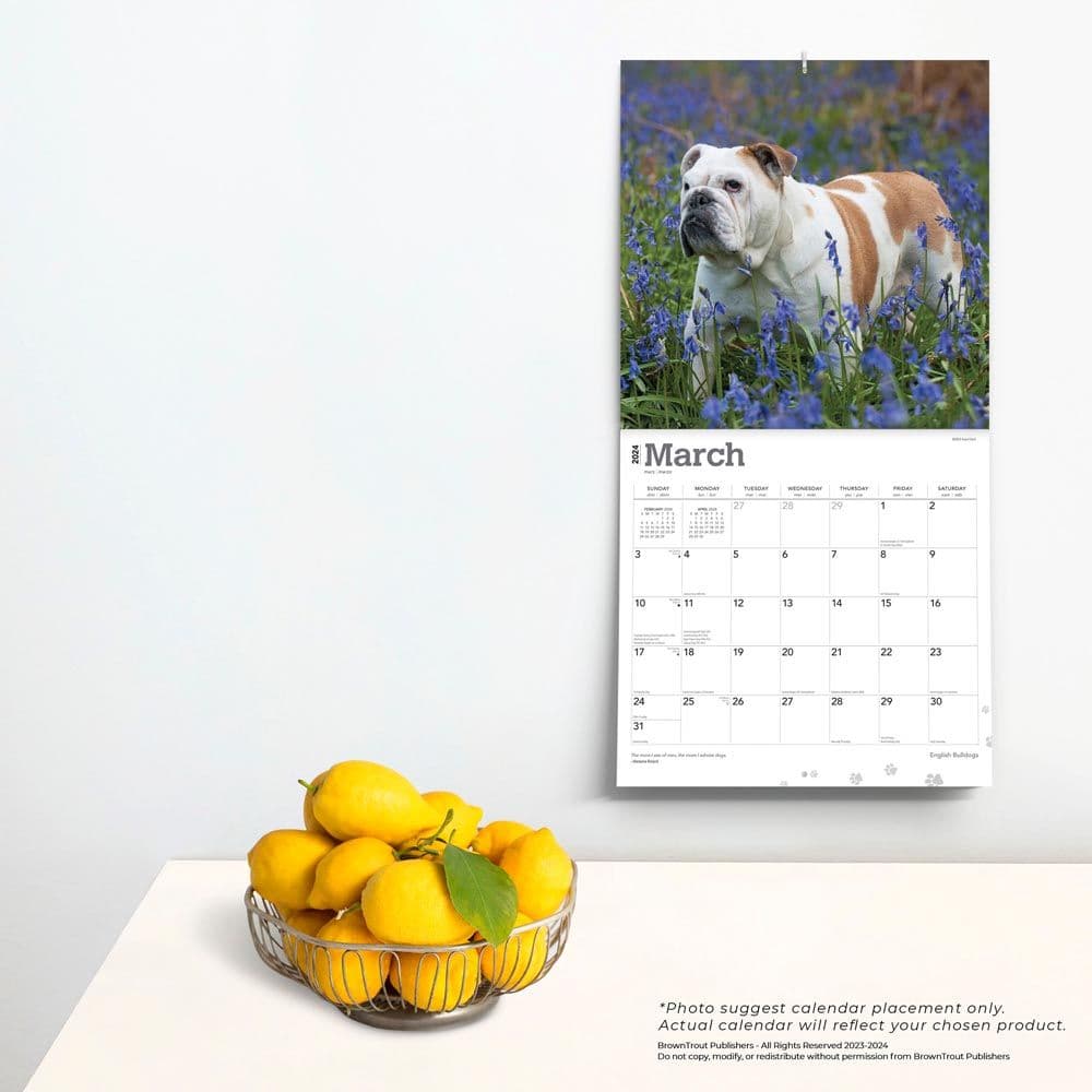 Bulldogs 2024 Wall Calendar