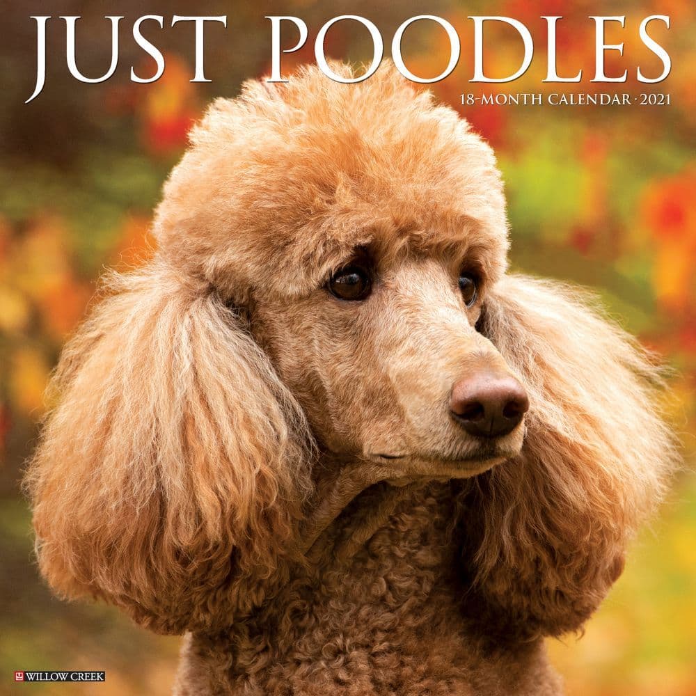 Just Poodles Wall Calendar