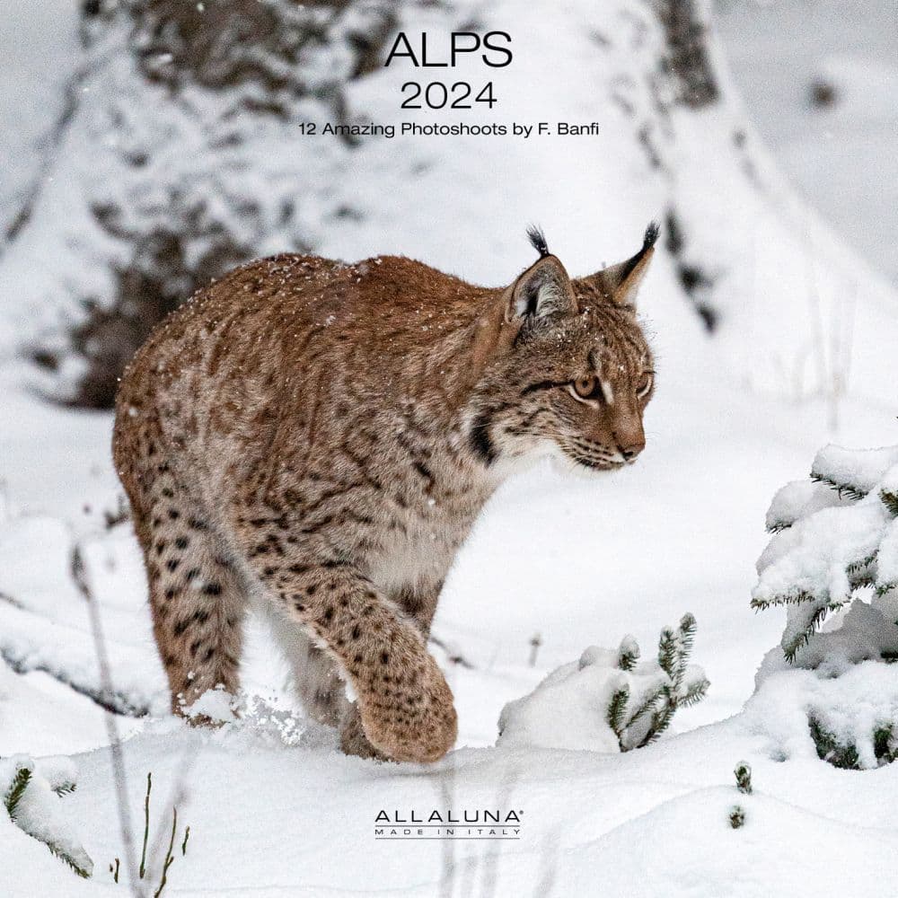 Alps 2024 Wall Calendar