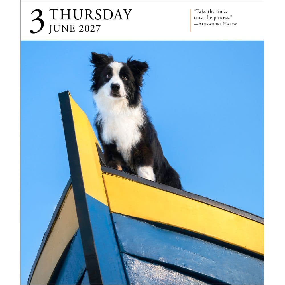 Dog Page-A-Day Gallery 2027 Desk Calendar Third Alternate Image