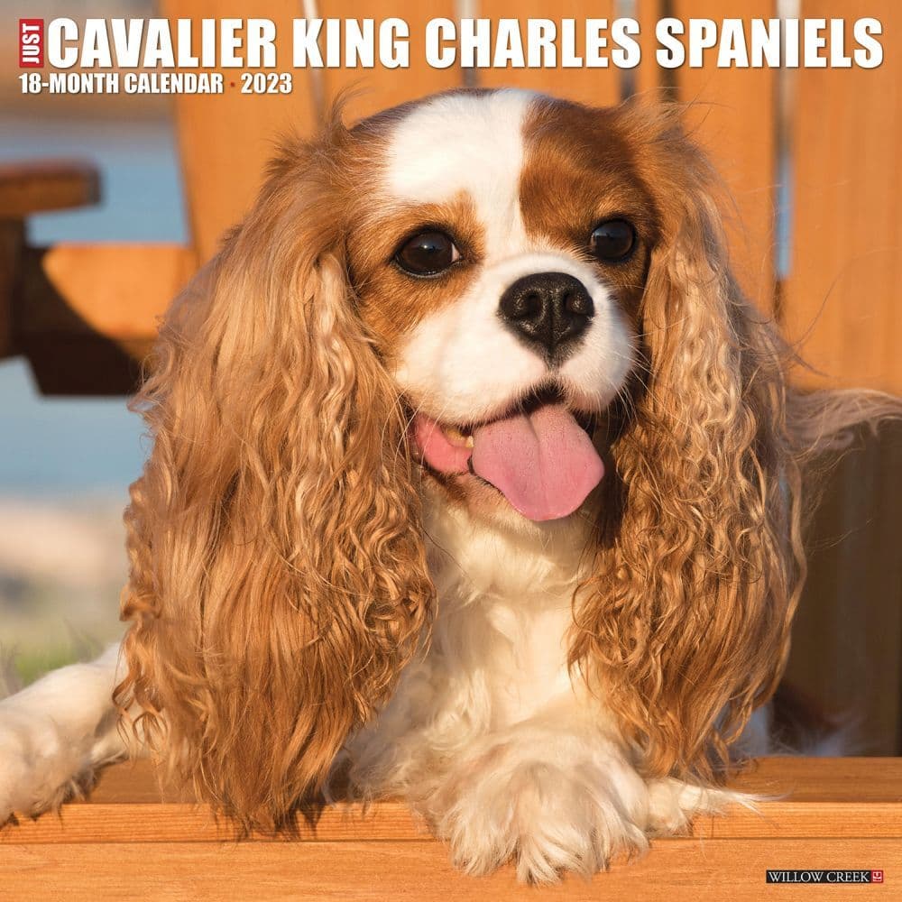 Shop for Cavalier King Charles Spaniels 2023 Square Wall Calendar at Calendars.com Now!