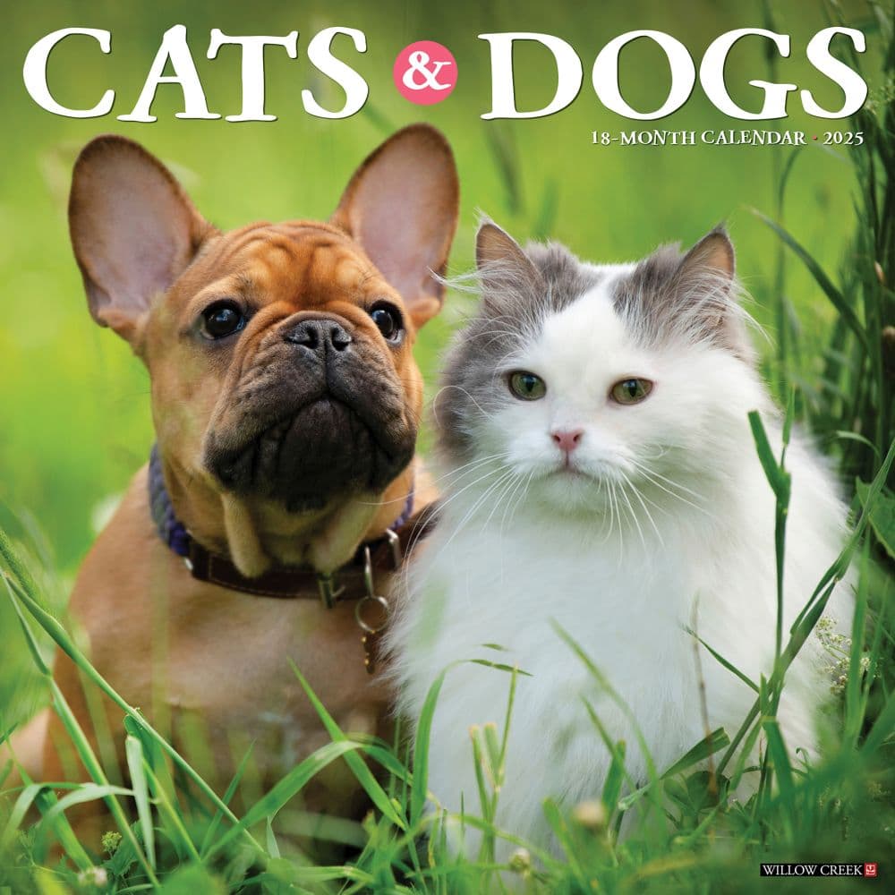 Cats and Dogs 2025 Wall Calendar  Main Image