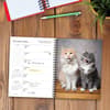 image What Cats Teach Us 2026 Engagement Planner Second Alternate Image