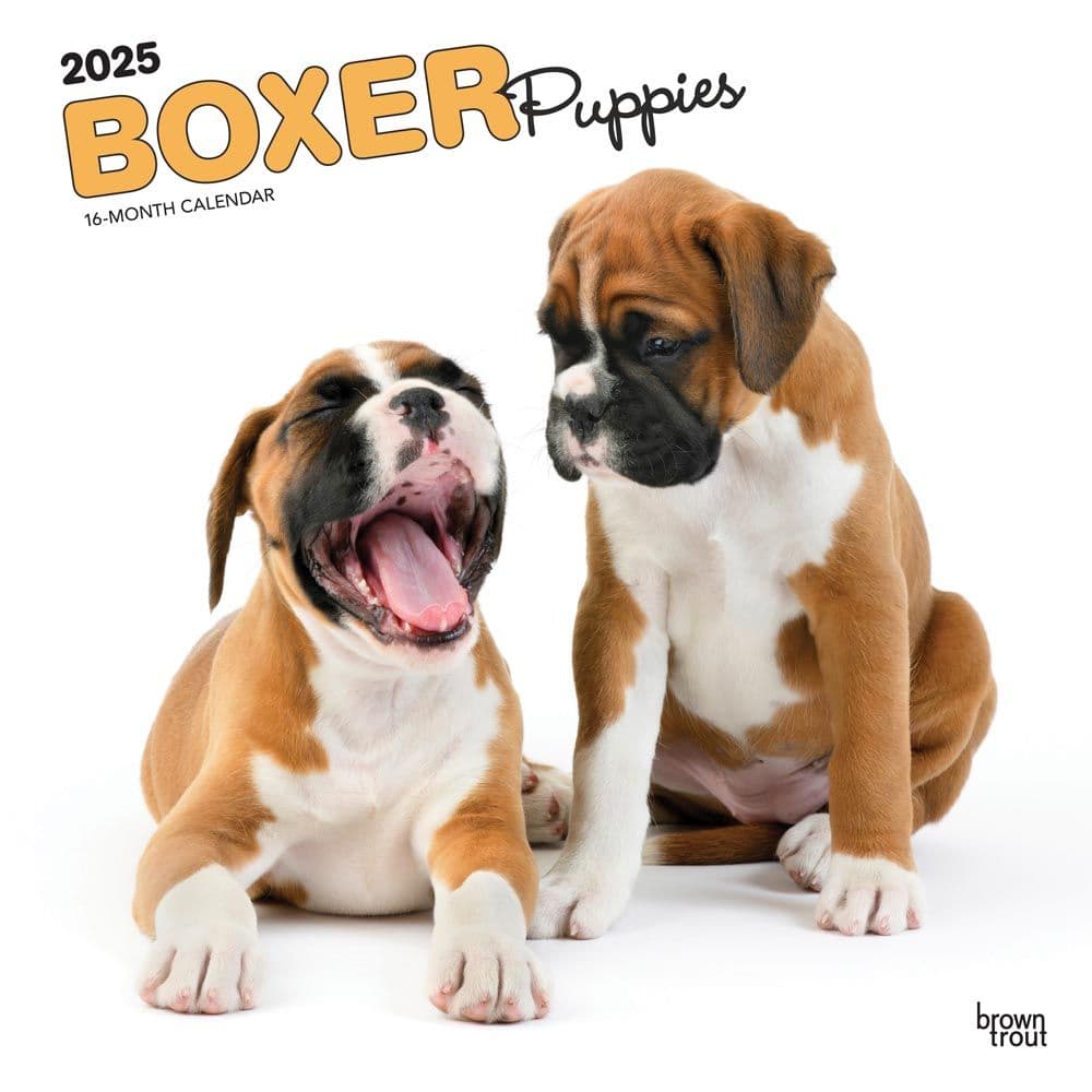 Boxer Puppies 2025 Wall Calendar Main Product Image width=&quot;1000&quot; height=&quot;1000&quot;