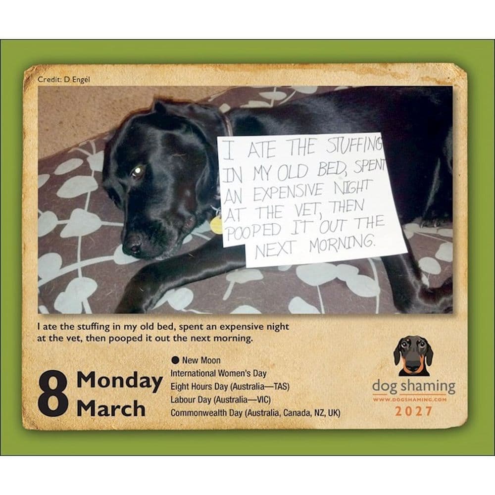 Dog Shaming 2027 Desk Calendar Fourth Alternate Image