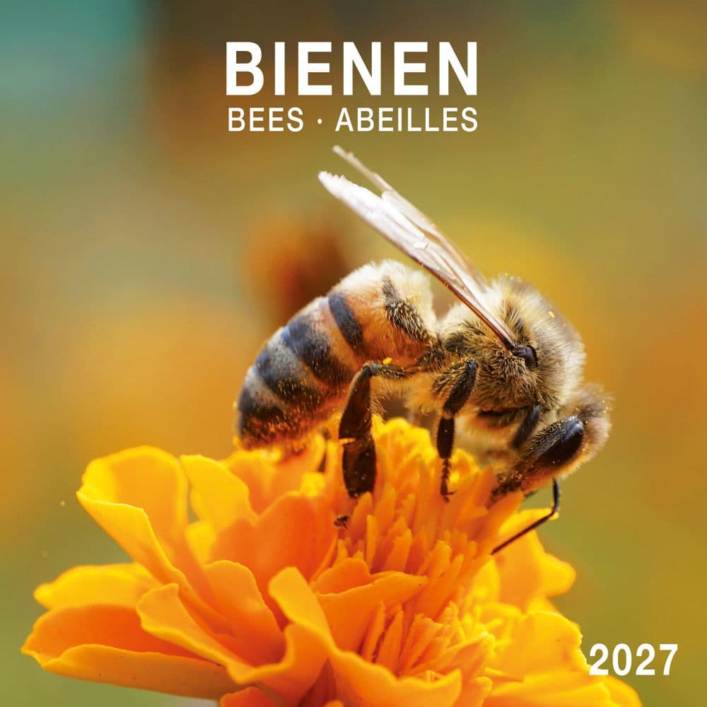 image Bees 2027 Wall Calendar Main Product Image