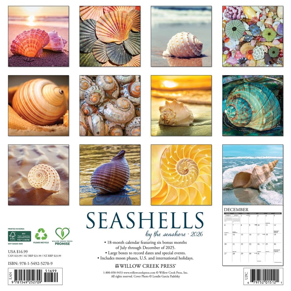 Seashells 2026 Wall Calendar First Alternate Image