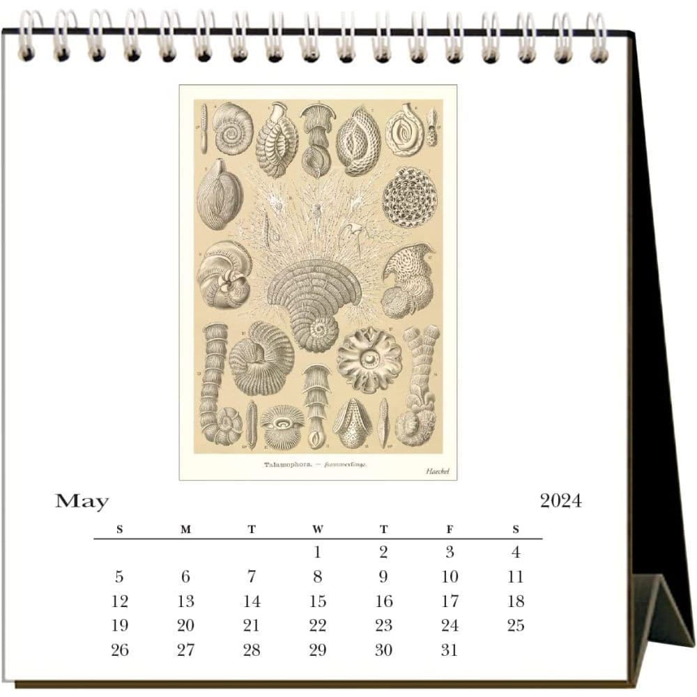 Art Forms of Nature 2024 Easel Calendar Alt2