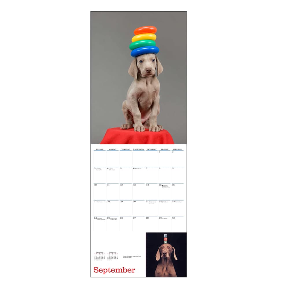 Wegman 2023 Wall Calendar - Calendars.com