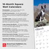 image Boston Terriers 2024 Wall Calendar Fourth Alternate Image width=&quot;1000&quot; height=&quot;1000&quot;
