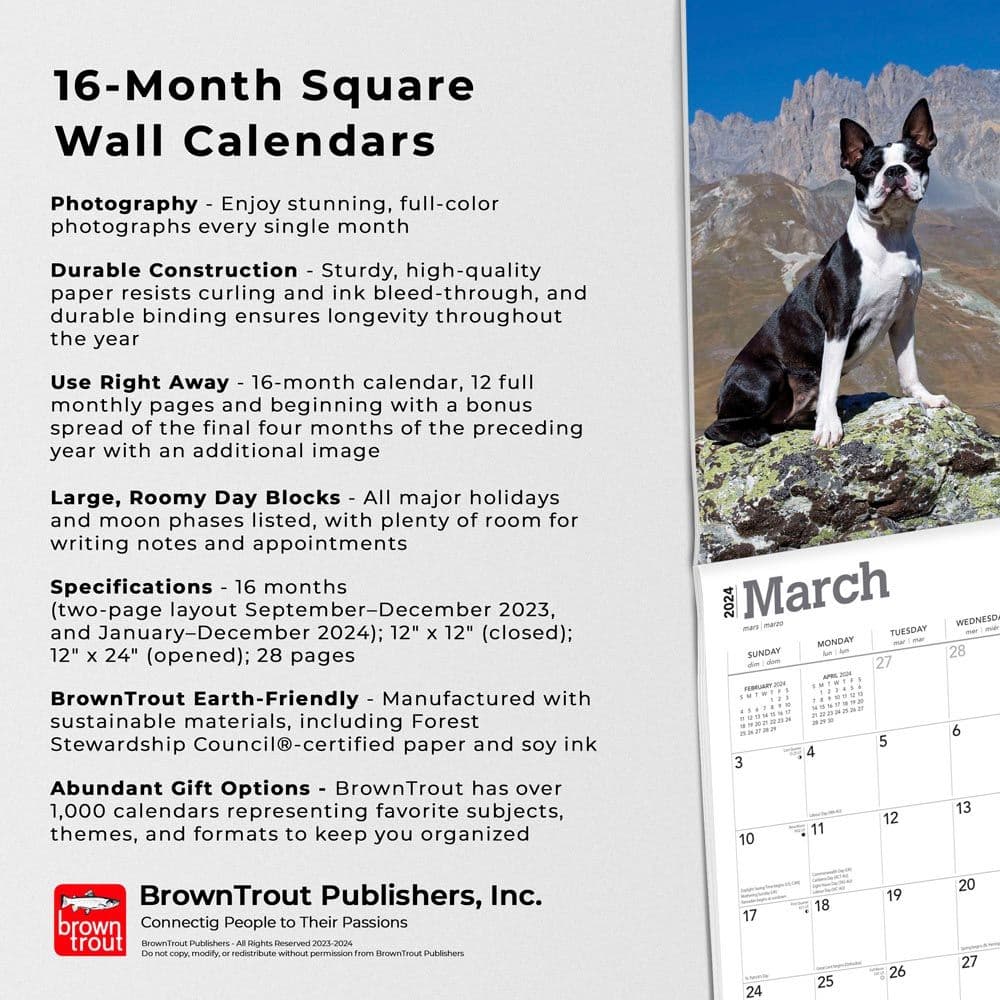 Boston Terriers 2024 Wall Calendar Fourth Alternate Image width=&quot;1000&quot; height=&quot;1000&quot;