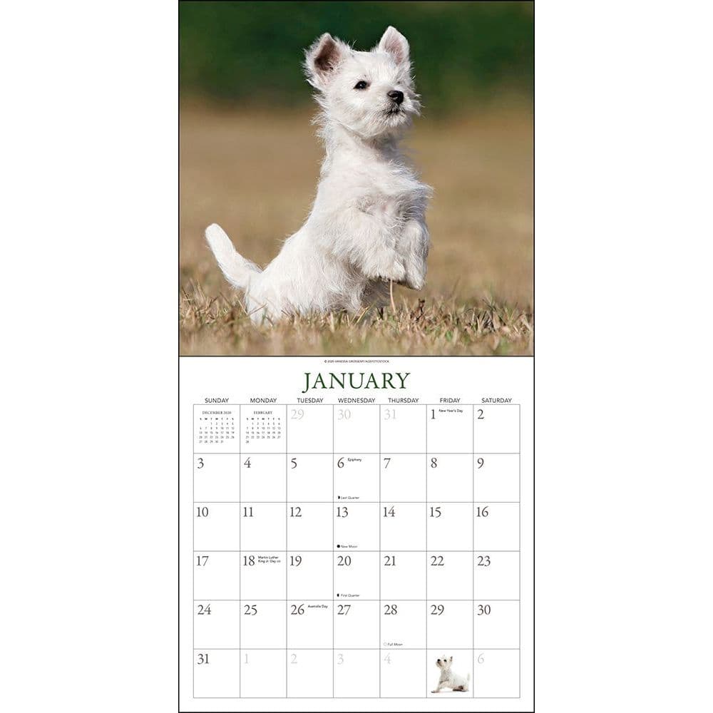 Westies Wall Calendar