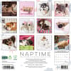 image Naptime Dogs 2025 Wall Calendar First Alternate Image width=&quot;1000&quot; height=&quot;1000&quot;