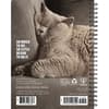image Cat Astrophe 2025 Engagement Planner First Alternate Image