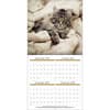 image Rachael Hale Loveable Cats 2026 Wall Calendar Second Alternate Image