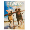image Two Dogs on Beach Friendship Card First Alternate Image width=&quot;1000&quot; height=&quot;1000&quot;