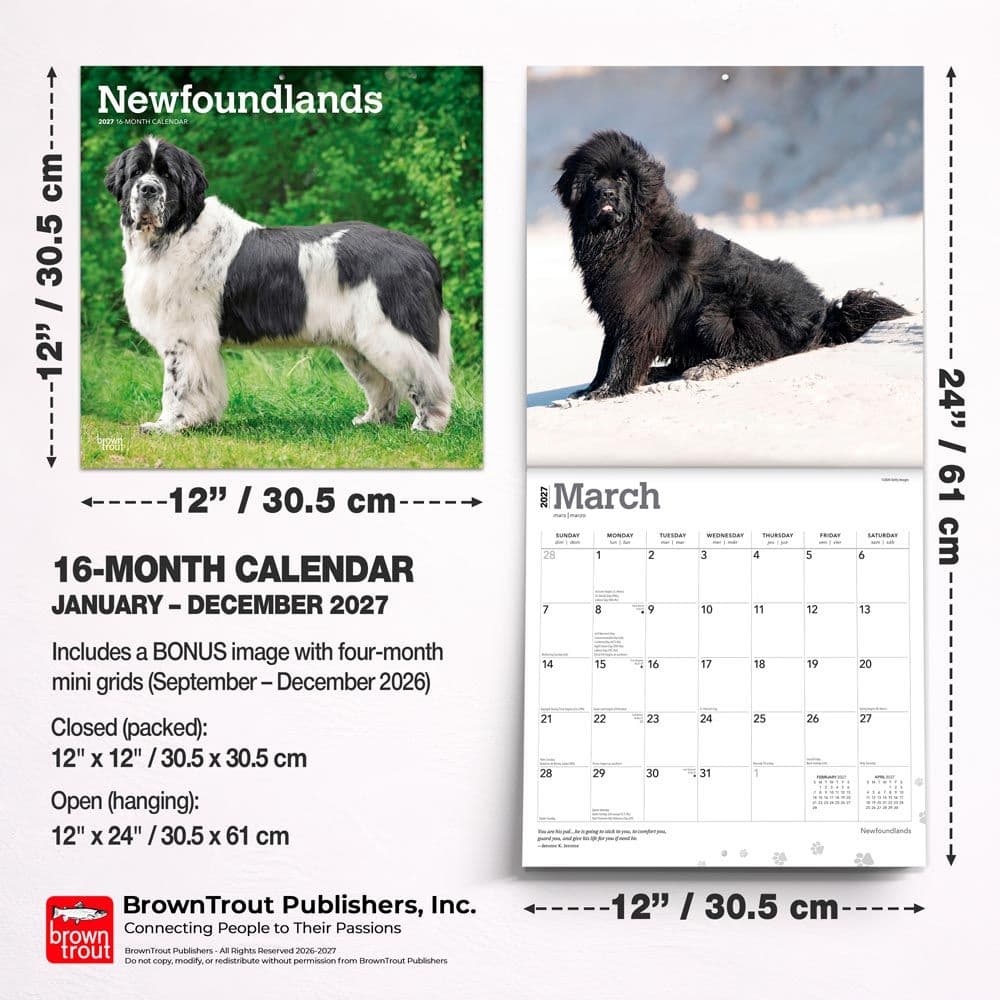 Newfoundlands 2027 Wall Calendar Sixth Alternate Image