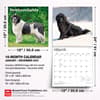 image Newfoundlands 2027 Wall Calendar Sixth Alternate Image