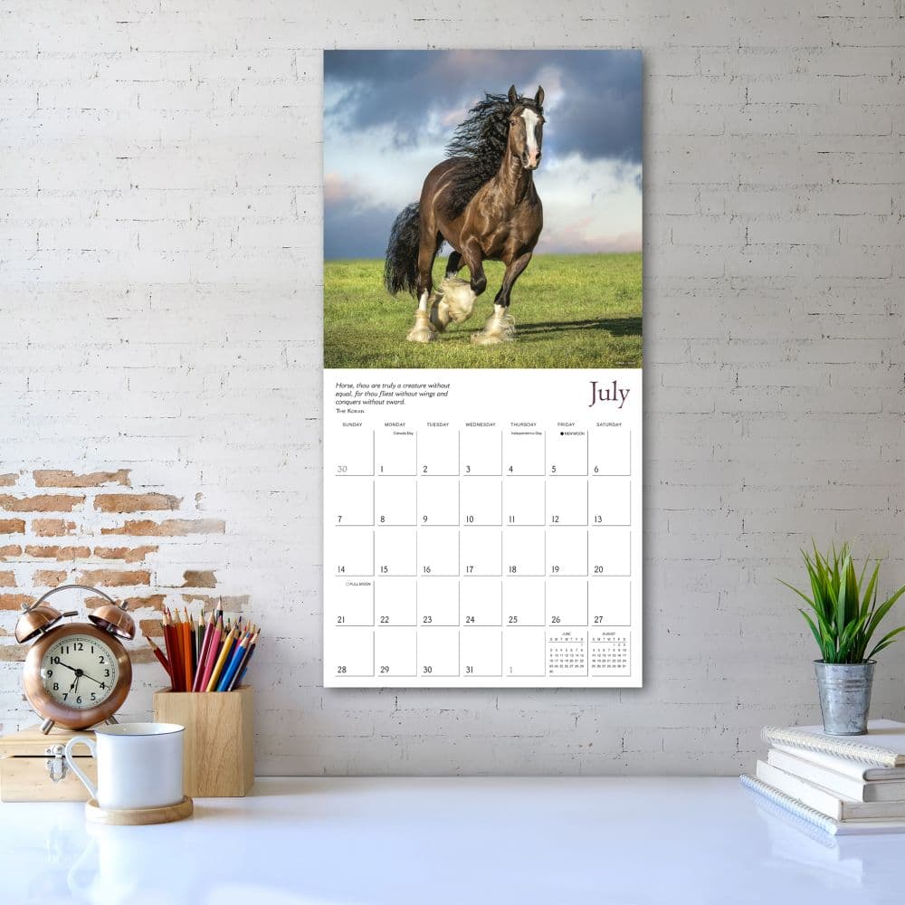 Spirited Horse 2024 Wall Calendar Alternate Image 5