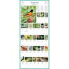 image Audubon 365 Songbirds 2024 Wall Calendar Fourth Alternate Image width=&quot;1000&quot; height=&quot;1000&quot;