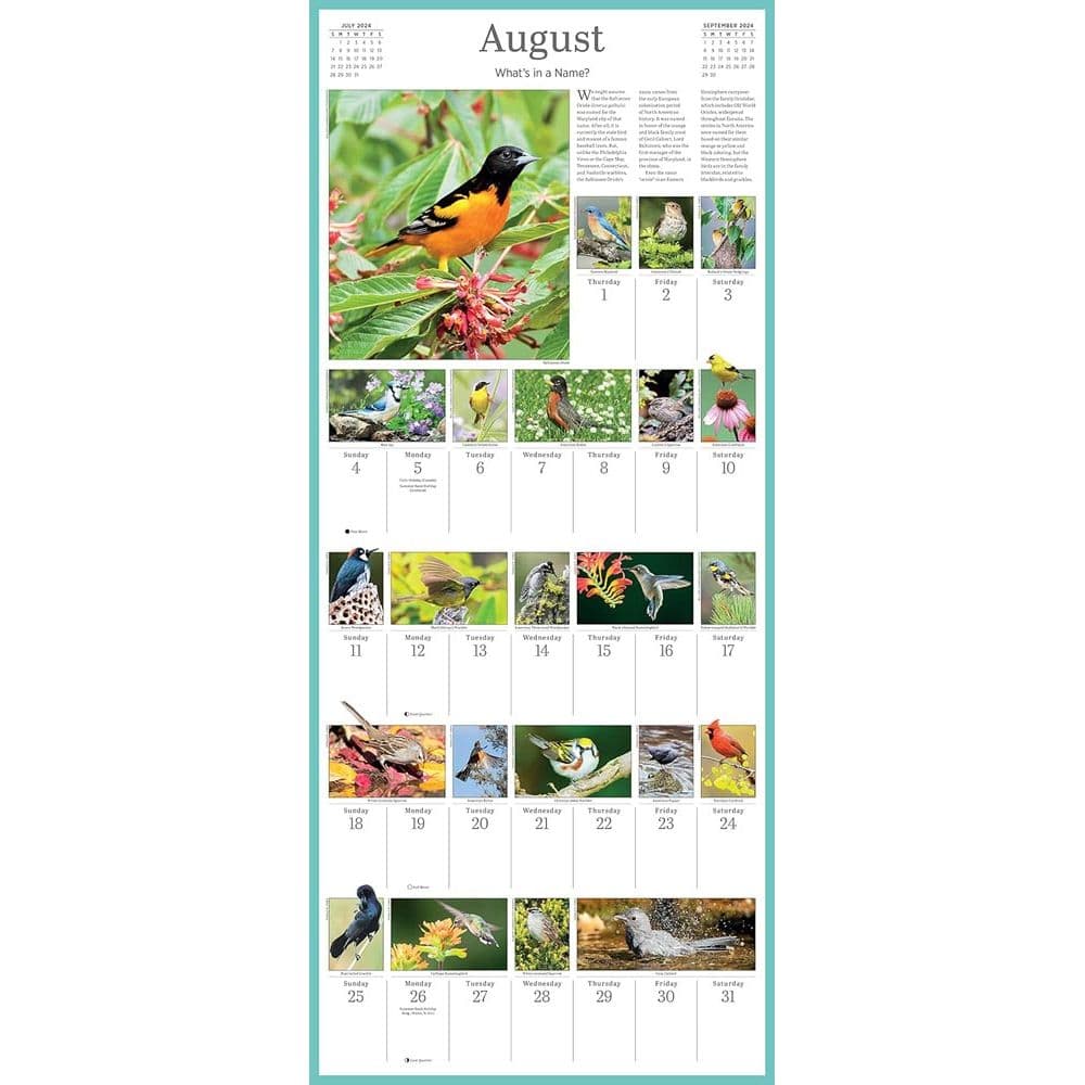 Audubon 365 Songbirds 2024 Wall Calendar Fourth Alternate Image width=&quot;1000&quot; height=&quot;1000&quot;