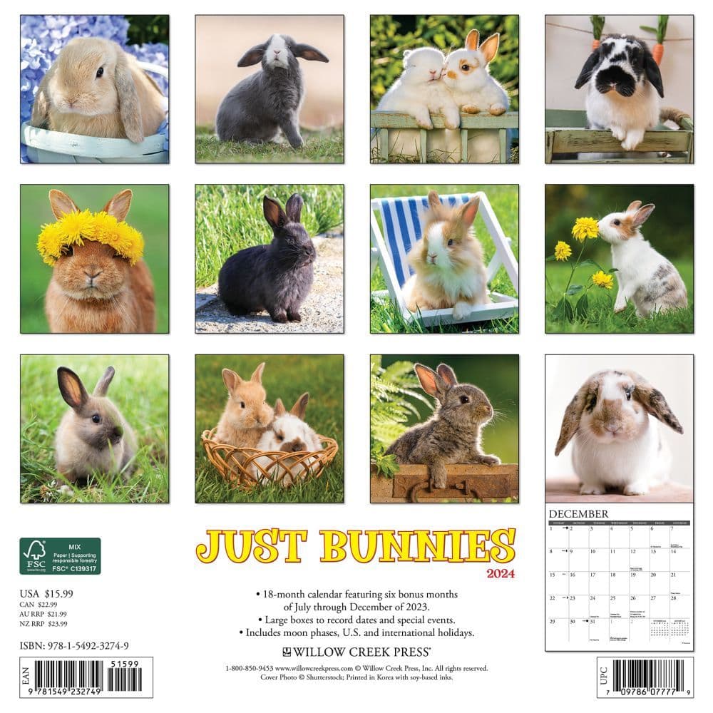 Bunnies 2024 Wall Calendar Alternate Image 1