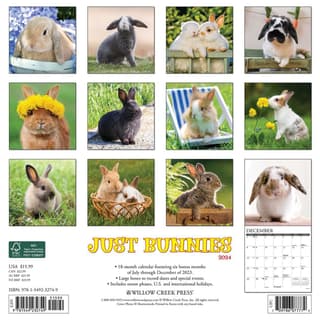 Bunnies 2024 Wall Calendar - Calendars.com