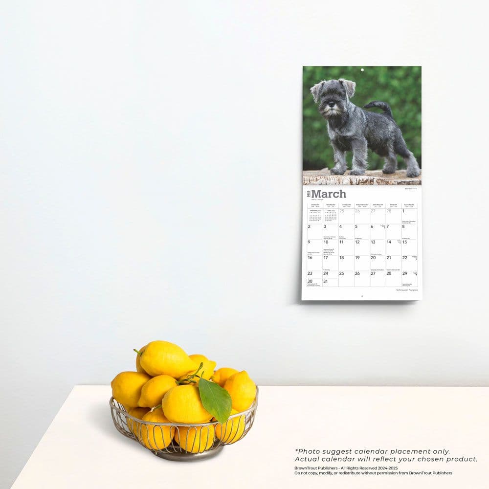 Schnauzer Puppies 2025 Mini Wall Calendar