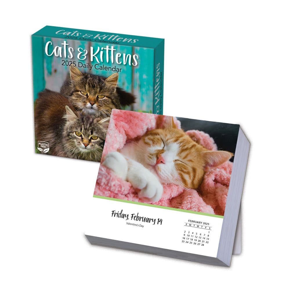 Cats And Kittens 2025 Desk Calendar