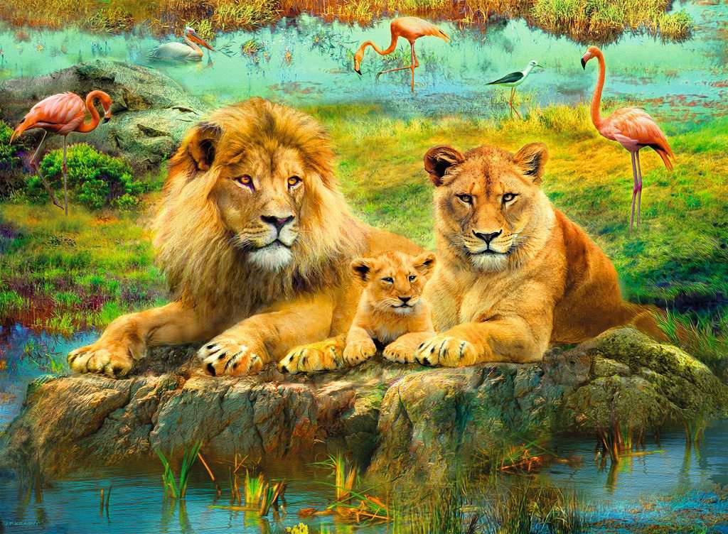 Lions in Savannah 500pc Puzzle