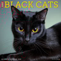 image Black Cats 2026 Wall Calendar    Main Image