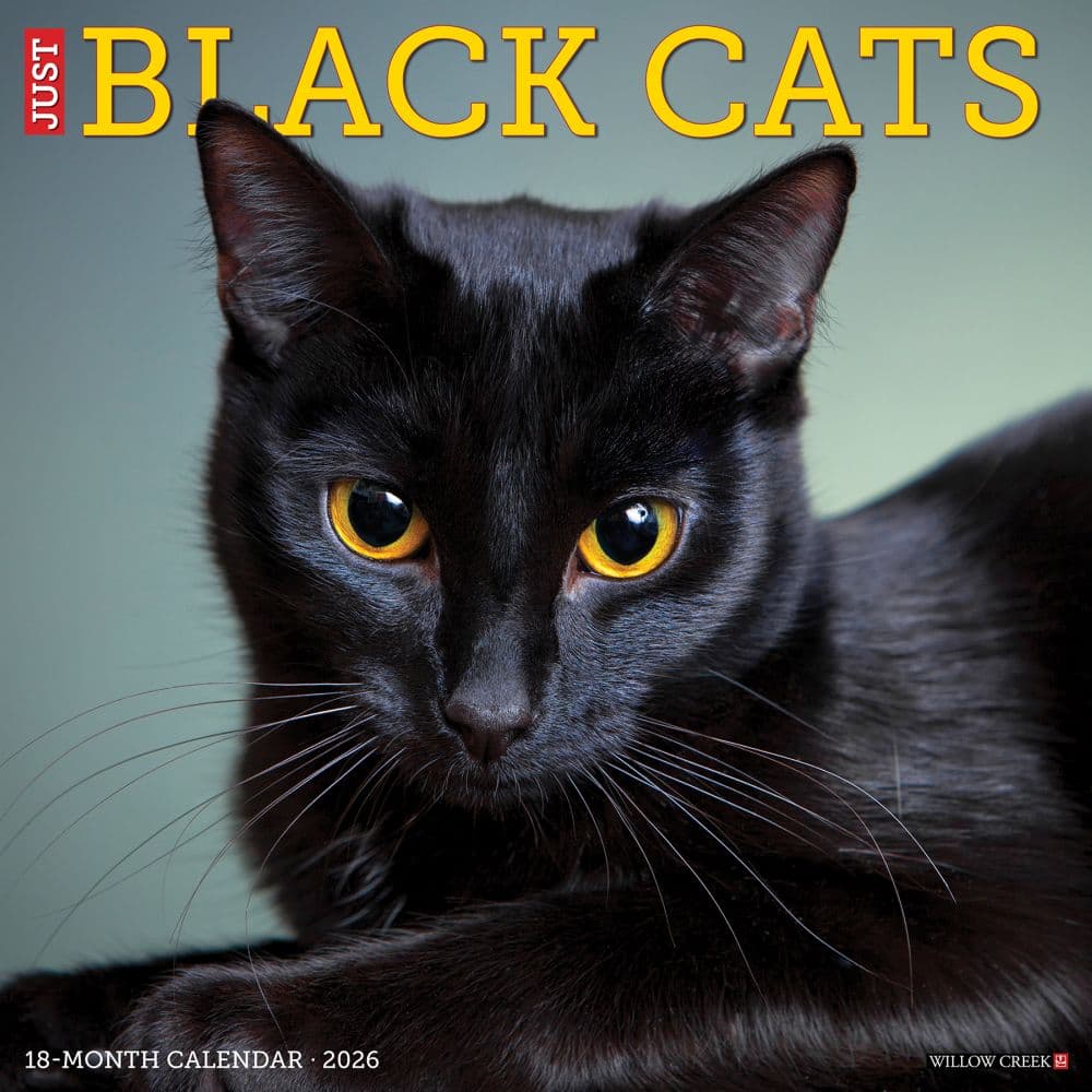 Black Cats 2026 Wall Calendar    Main Image