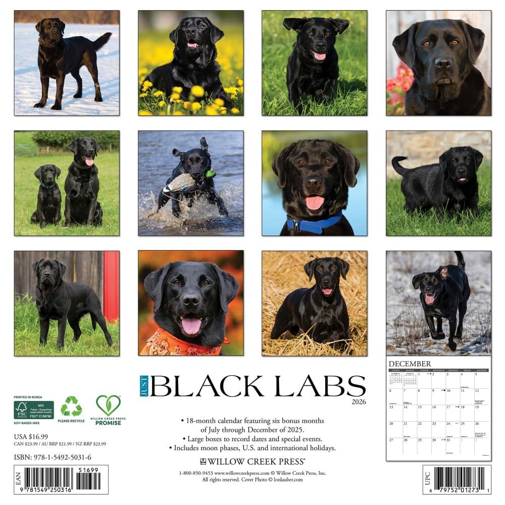 Just Black Labs 2026 Wall Calendar First Alternate Image