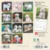 image Bichon Frise Puppies 2025 Mini Wall Calendar First Alternate Image width=&quot;1000&quot; height=&quot;1000&quot;