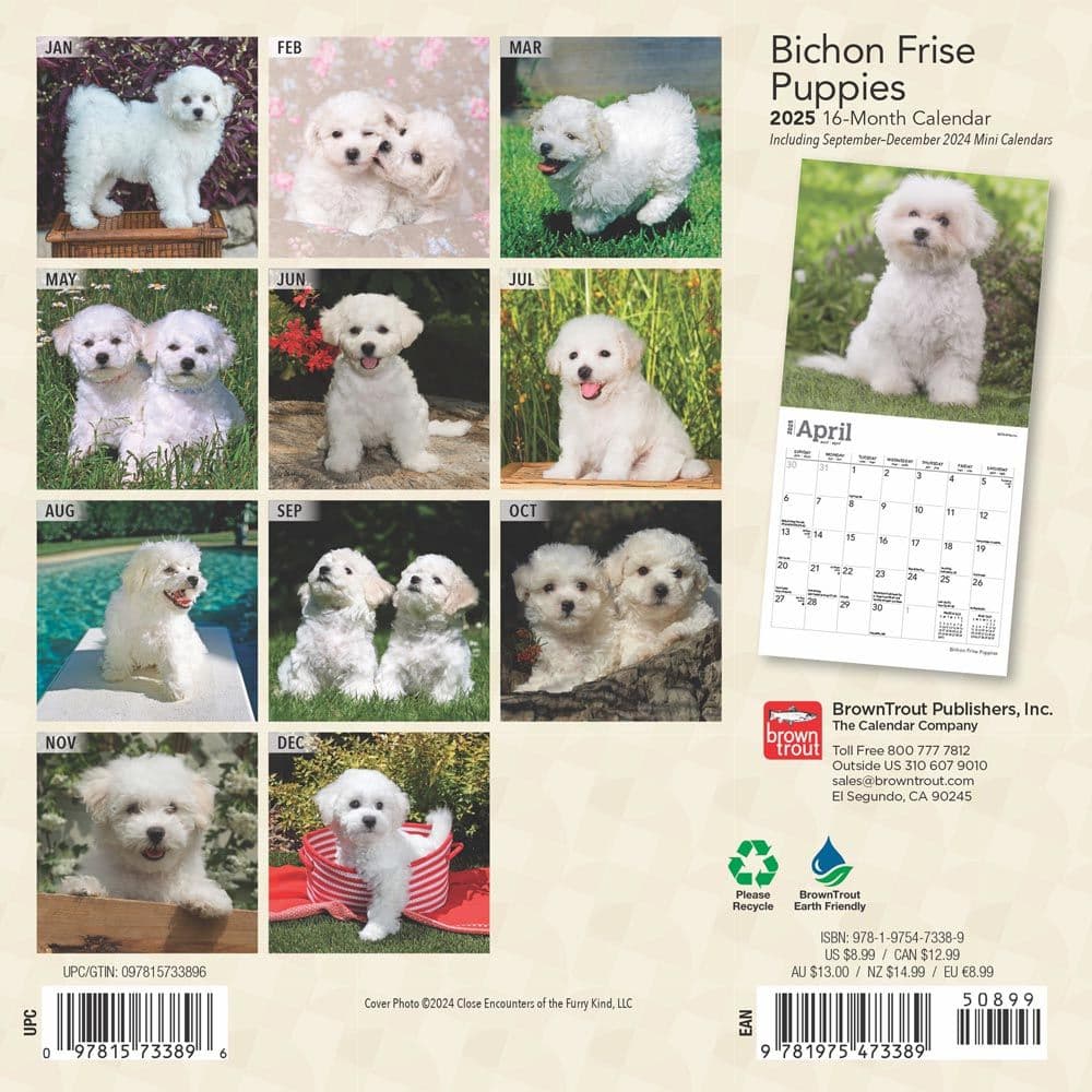 Bichon Frise Puppies 2025 Mini Wall Calendar First Alternate Image width=&quot;1000&quot; height=&quot;1000&quot;