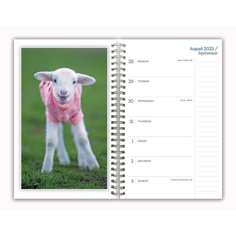 Lambies Jammies Goats Coats 2024 Planner - Calendars.com