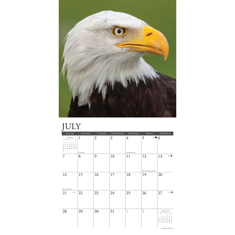 Eagles 2024 Wall Calendar Alternate Image 2