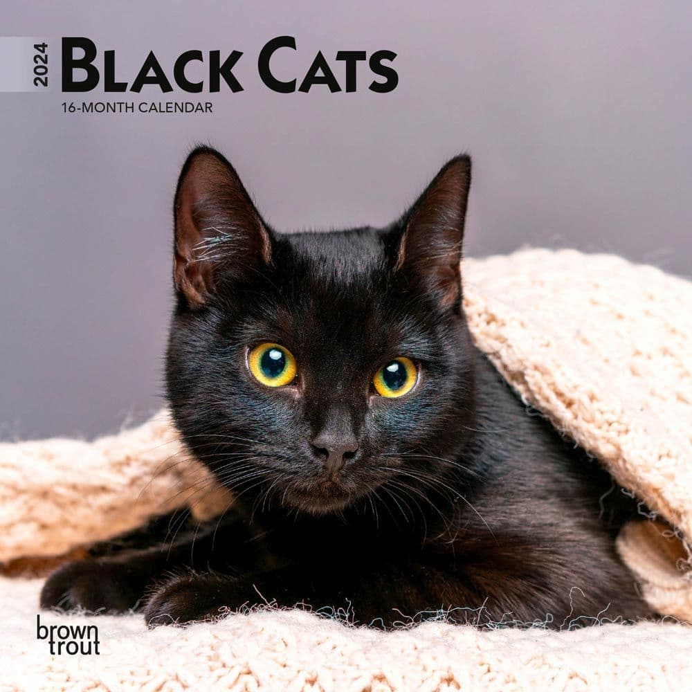 Black Cats 2024 Mini Wall Calendar - Calendars.com